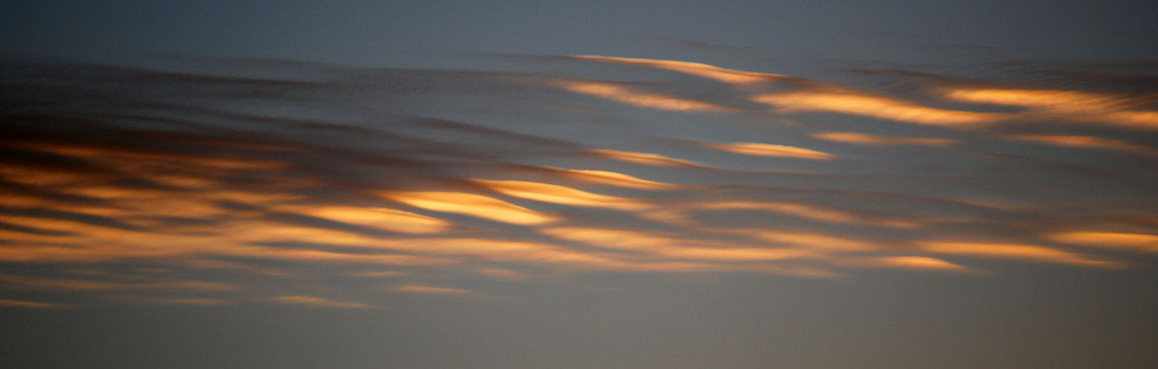 Organic Intelligence Clouds at Dusk Somatic Trauma Training