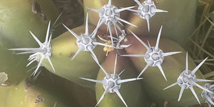 Somatic Fractal Cactus