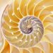 Image from iOS
