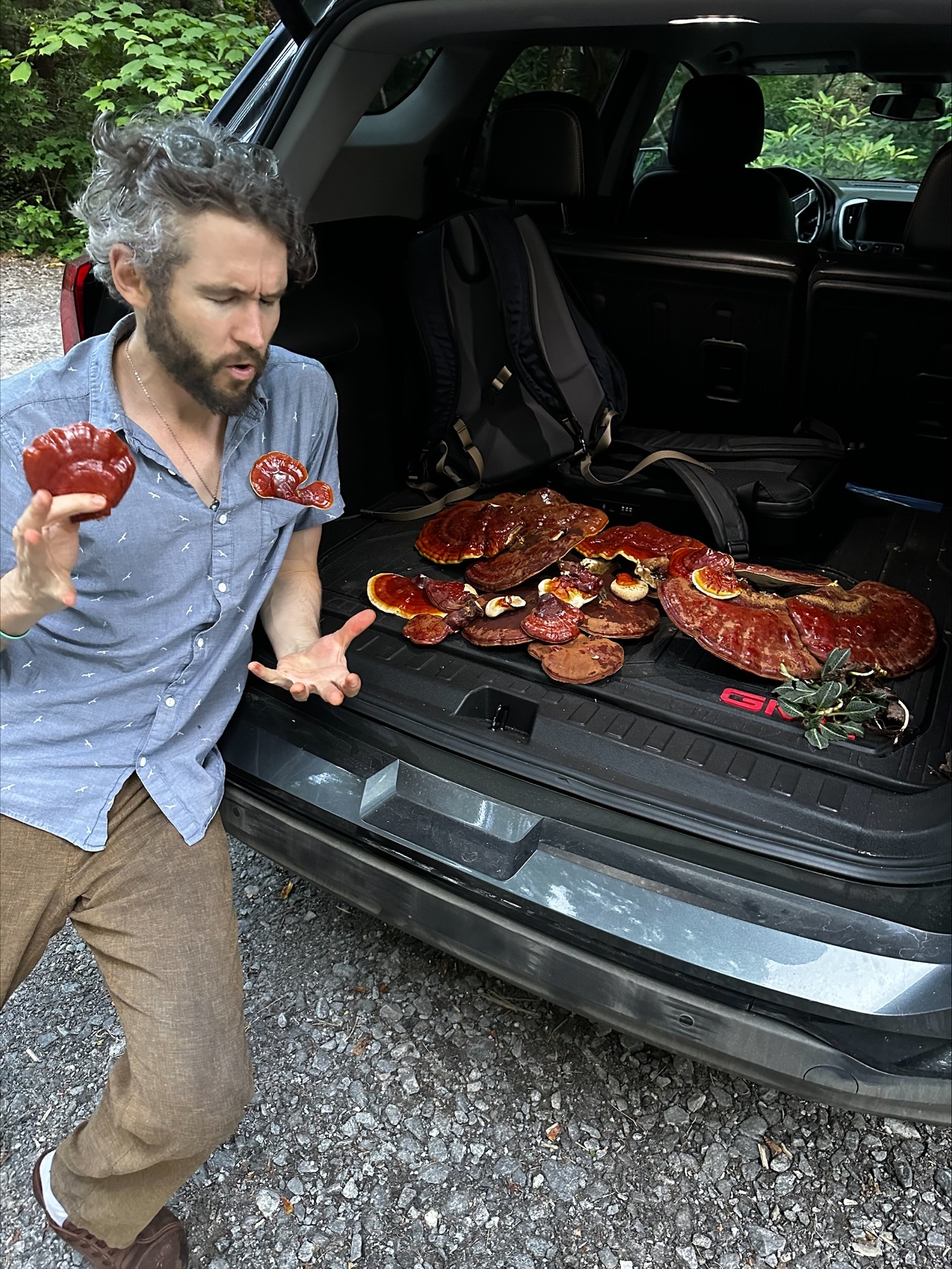 354054498 572187745105807 2866855472730110347 n